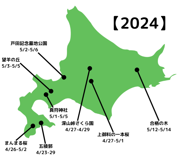 桜 2024