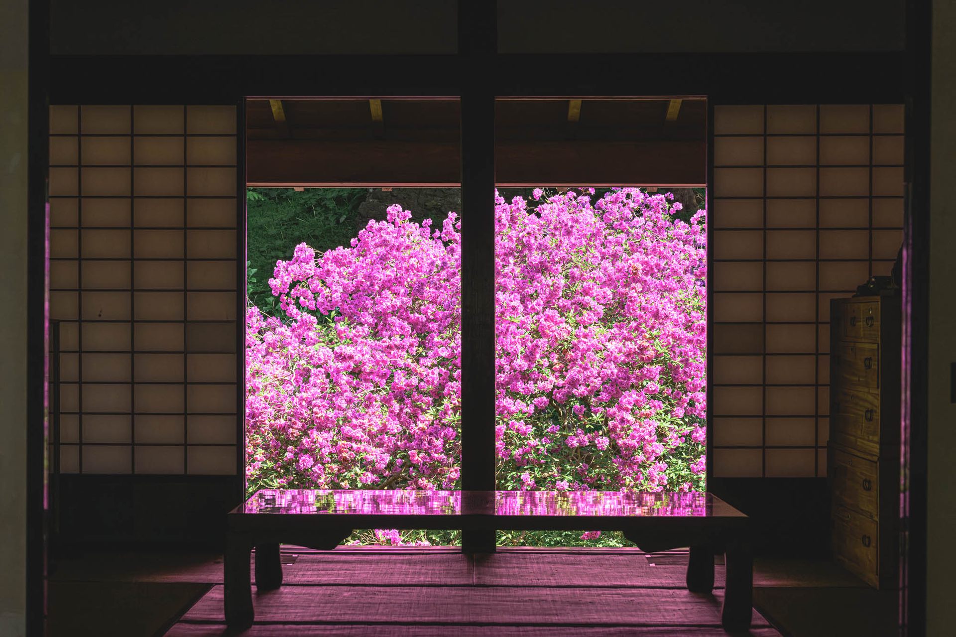 有珠善光寺 (ツツジ)の写真