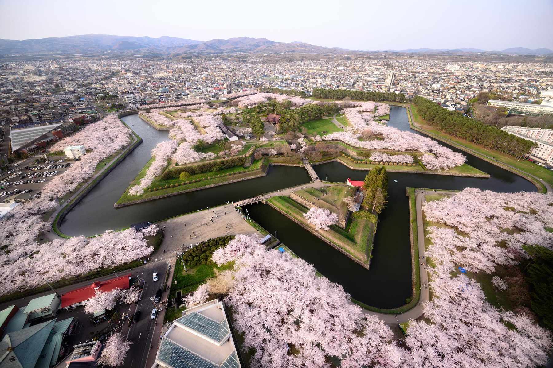五稜郭 俯瞰(桜ver.)の写真