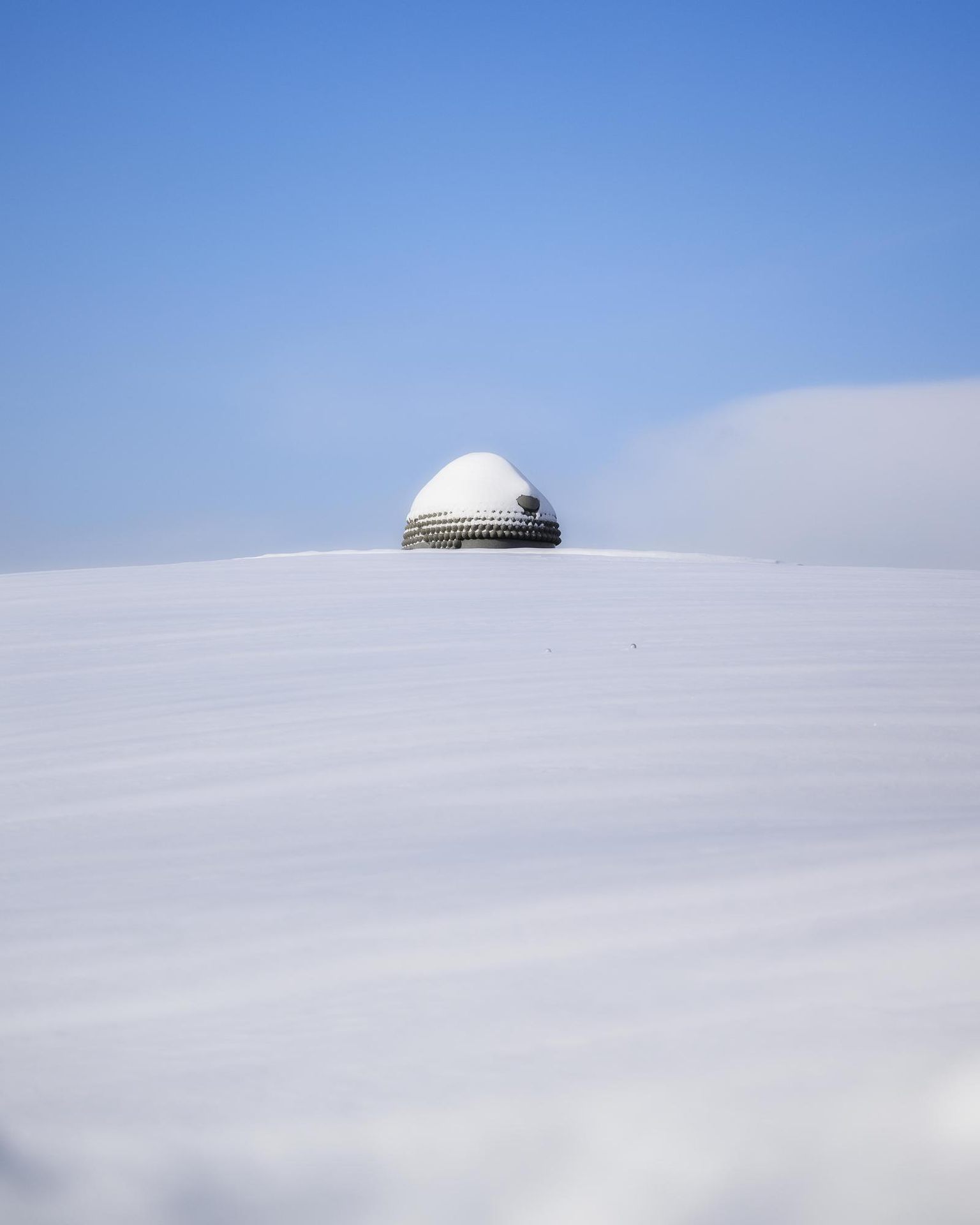 頭大仏 (雪)の写真